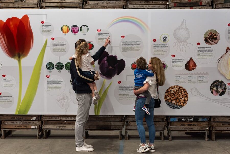 Lisse: Tulip Experience Ticket with Tulip Garden and Museum - The Tulip Garden: 4 Million Blooms and Lots of Built-In Photo Help