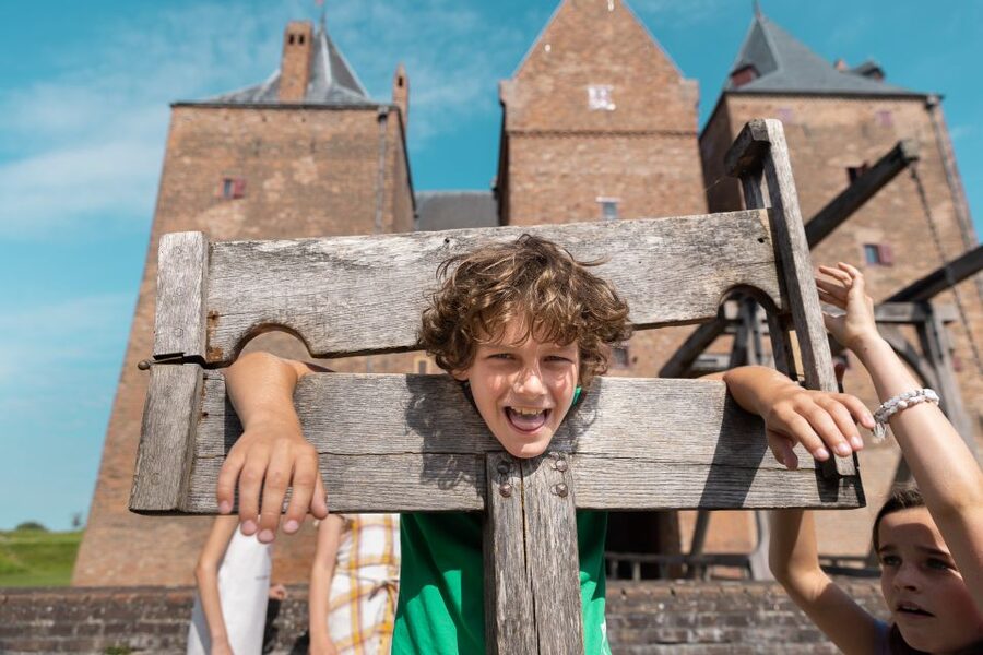Loevestein Castle Entry Ticket - The Hollandse Waterlinie: how water became defense