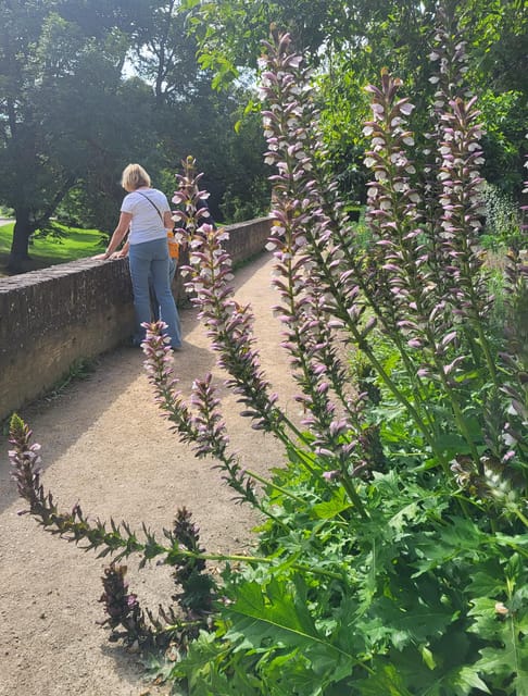 Maastricht Hidden Gems Tour Uncover the Unexpected - De Mestreechter Geis: the local spirit lesson you feel, not just hear