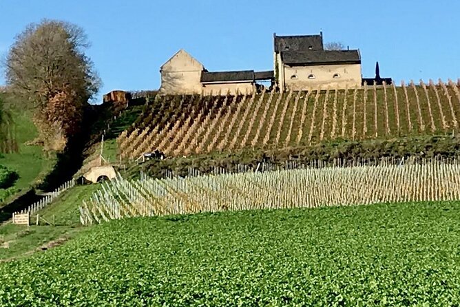 Maastricht Privat Sightseeing City Walk - What the best guides add: stories, pictures, and practical local tips