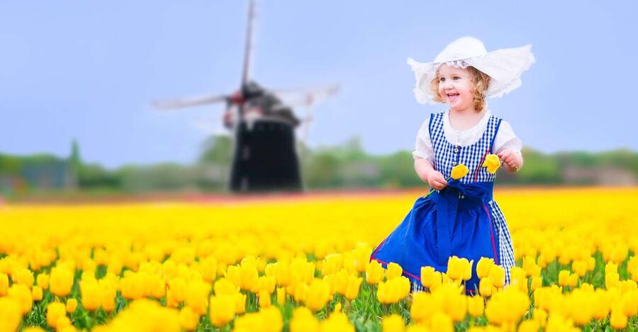 Magical Delft and the Keukenhof Estate: Tulips Galore - Delft on foot: canals, churches, and City Hall details that matter
