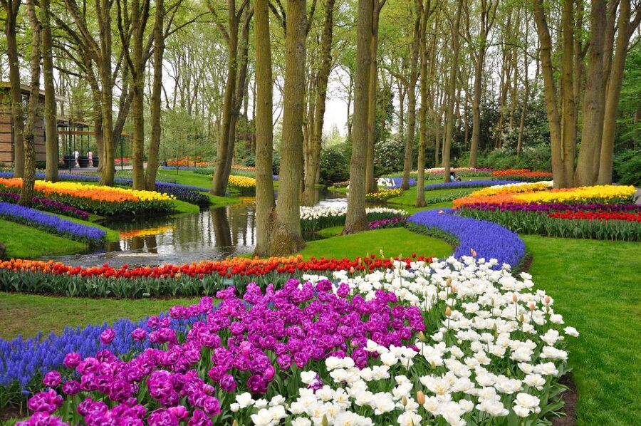 Magical Delft and the Keukenhof Estate: Tulips Galore - Who should book this Delft and Keukenhof tulip day trip?