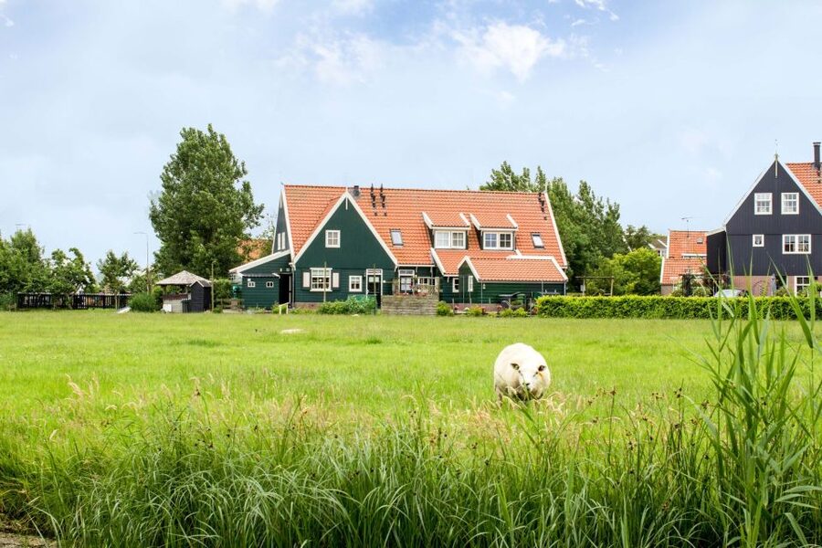 Marken, Volendam and Edam: Private Full-Day Tour - Price and value: is $340 per person worth it?