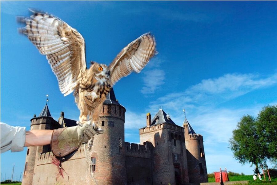 Muiden: Entry Ticket to Muiderslot Castle - Castle grounds: water, gardens, and the photos you will actually want