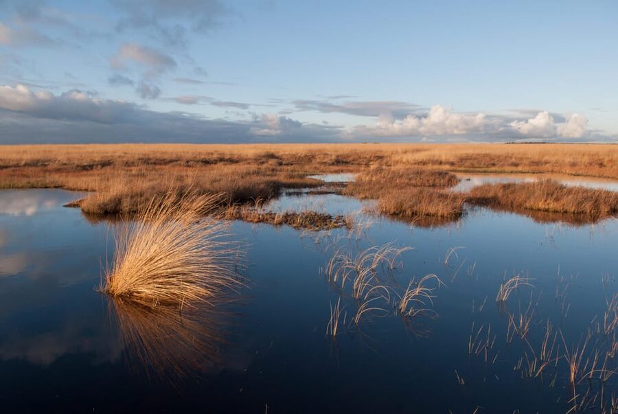 Otterlo: De Hoge Veluwe National Park Entry Ticket - Key points you should know before you go