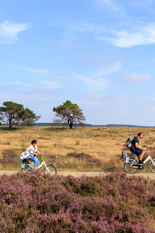Otterlo: De Hoge Veluwe National Park Entry Ticket - Planning a smart one-day loop with Museonder first