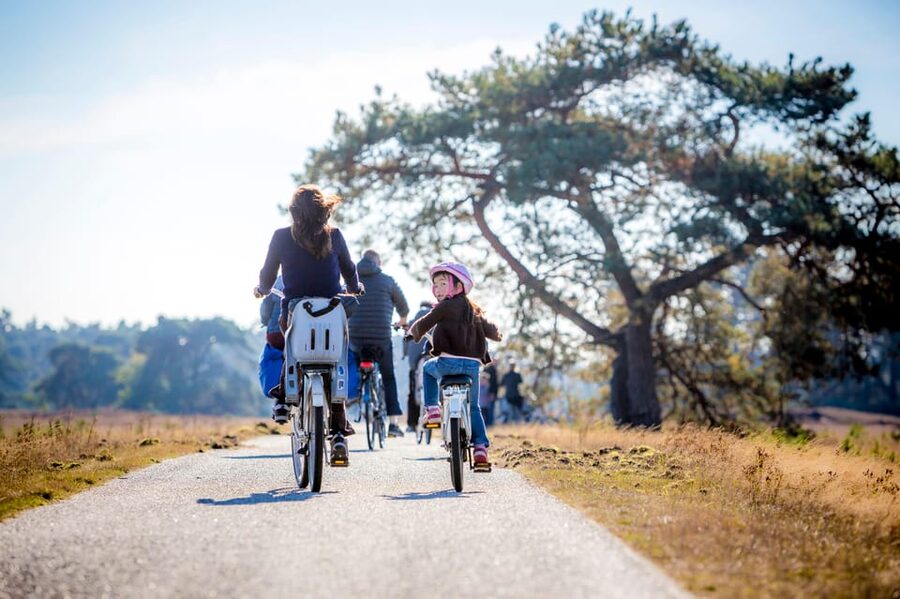 Otterlo: De Hoge Veluwe National Park Entry Ticket - Wildlife reserves and bird watching areas, how to actually find the action