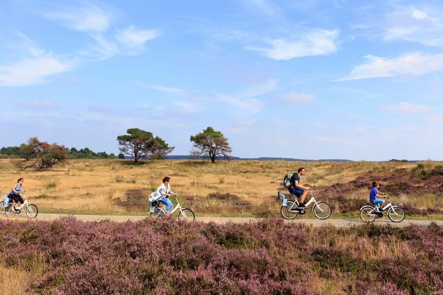 Otterlo: De Hoge Veluwe National Park Entry Ticket - Rain, October light, and how to dress for a cycling day