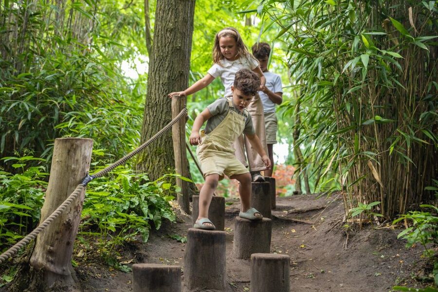 Overloon: ZooParc Entrance Ticket - Key highlights at ZooParc Overloon