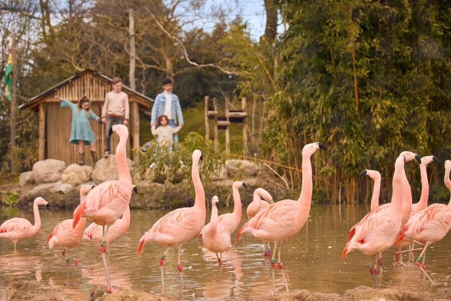 Overloon: ZooParc Entrance Ticket - ZooParc Overloon Entrance Ticket: the vibe and what makes it special
