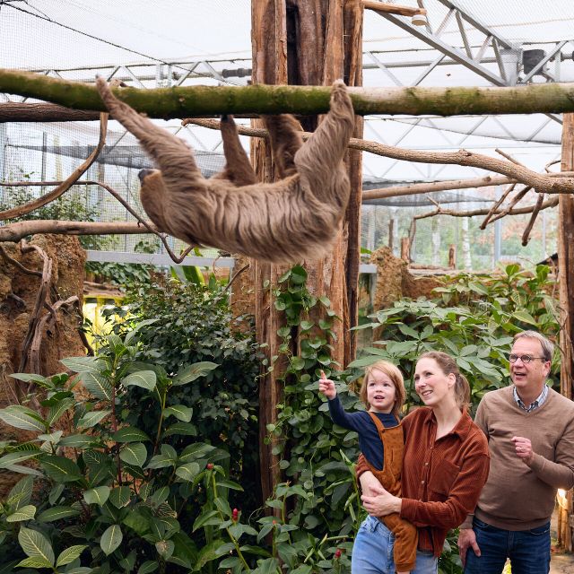 Overloon: ZooParc Entrance Ticket - Madidi: finishing strong with South American wildlife