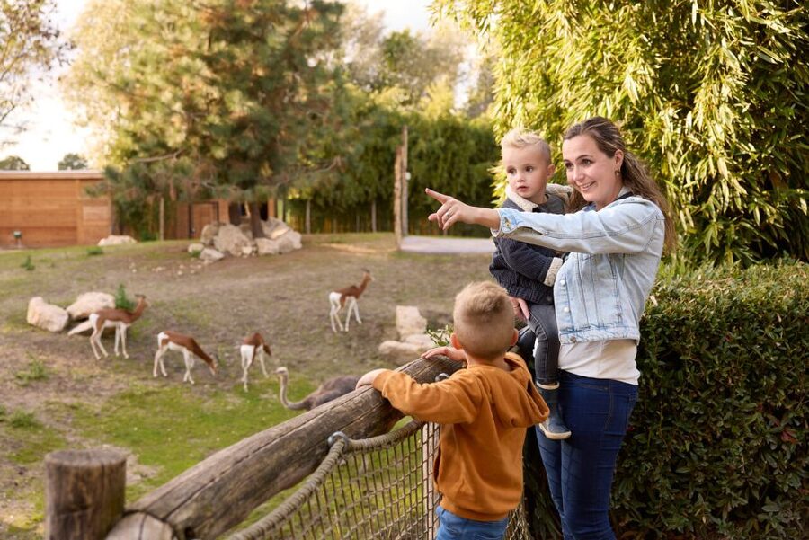 Overloon: ZooParc Entrance Ticket - Where to rest: cafes, playgrounds, and keeping kids happy