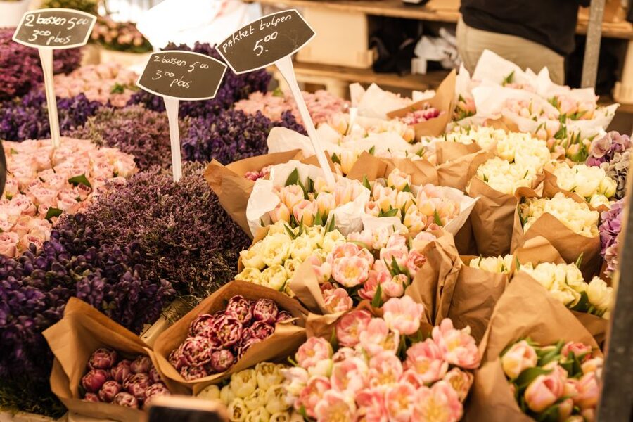 Private Amsterdam Tour with a Local, Flexible & Custom - Bloemenmarkt and the floating flower market founded in 1862