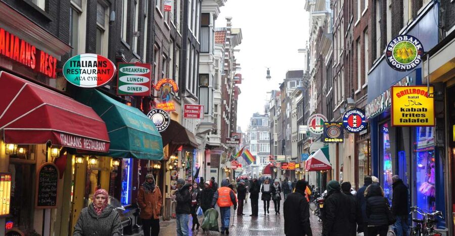 Private Amsterdam Walking Tour - Key highlights you should care about