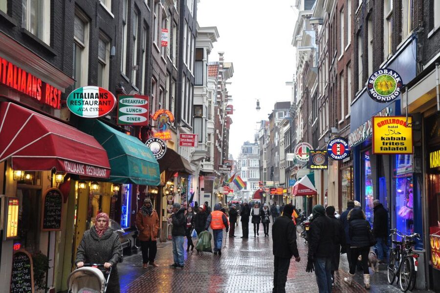 Private Amsterdam Walking Tour - Meeting point at Park Plaza Victoria, plus flexible starts