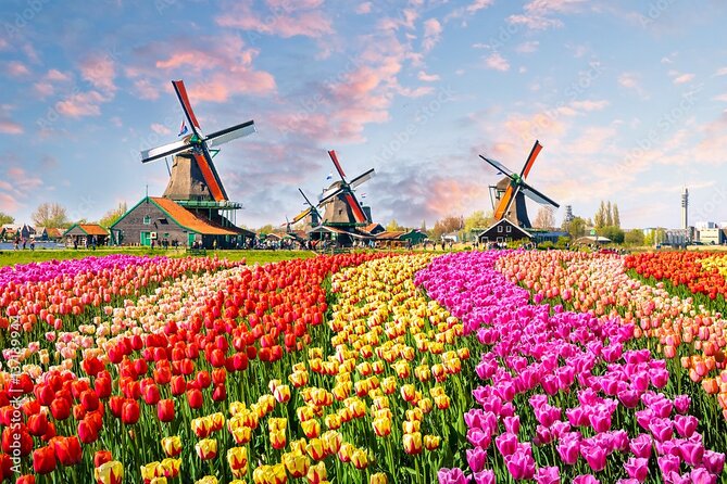 Private Countryside Tour From Amsterdam - Key things that make this countryside route work