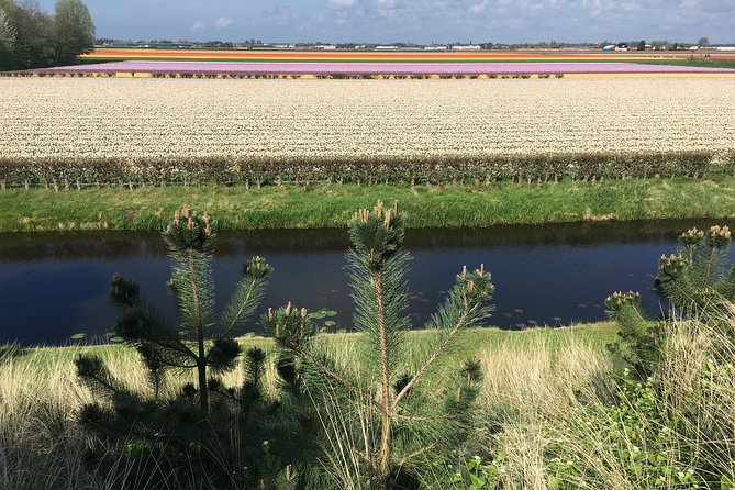 Private daytour from Amsterdam into the Countryside - Marken: a former island village you can still feel on foot