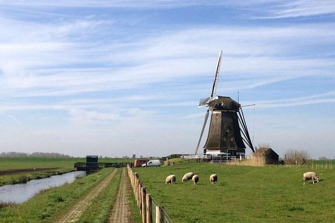 Private Guided Full-Day Customizable Tour of Holland from Amsterdam - Key Things That Make This Holland Tour Work