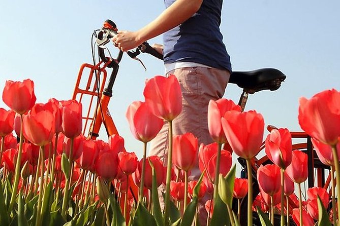 Private Guided Full-Day Customizable Tour of Holland from Amsterdam - Family Heritage Visits, When the Day Becomes Personal