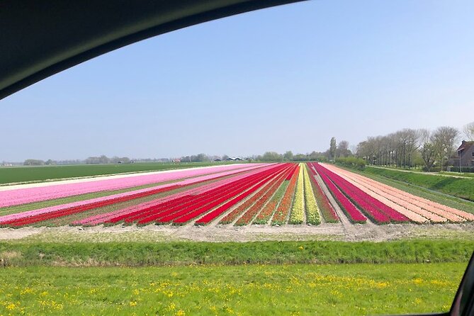 Private Guided Tour of Keukenhof Tulip Gardens & Private Windmill - Who this tour fits best (and who should think twice)