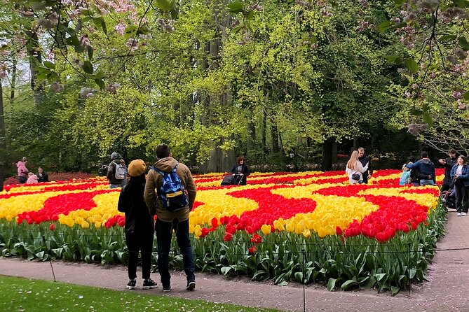Private Guided Tour of Keukenhof Tulip Gardens & Private Windmill - Should you book this private Keukenhof and windmill tour?