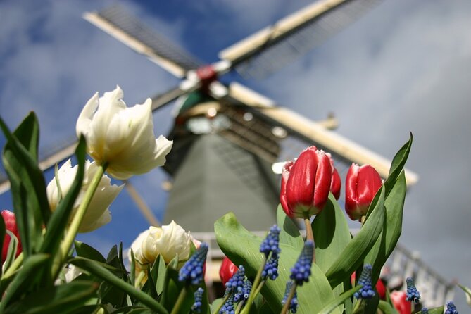 Private Guided Tour of Keukenhof Tulip Gardens & Private Windmill - Entering Keukenhof: guided highlights, then freedom to browse