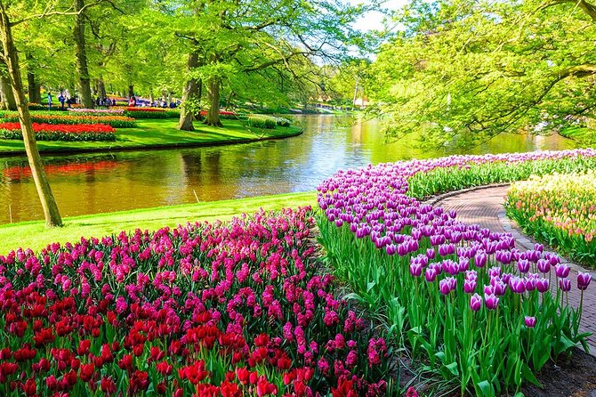 Private Keukenhof Park and Tulip Fields Tour (Skip-The-Line) - A Private Mercedes Ride to Keukenhof and the Tulip Fields