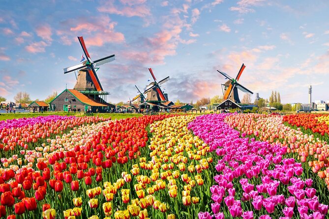 Private Keukenhof Park and Tulip Fields Tour (Skip-The-Line) - Tulip Field Stops in Bollenstreek, Plus Photo Opportunities