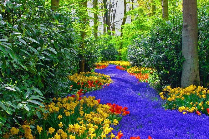 Private Keukenhof Park and Tulip Fields Tour (Skip-The-Line) - Price and Logistics: What You Pay For in a 5-Hour Private Day