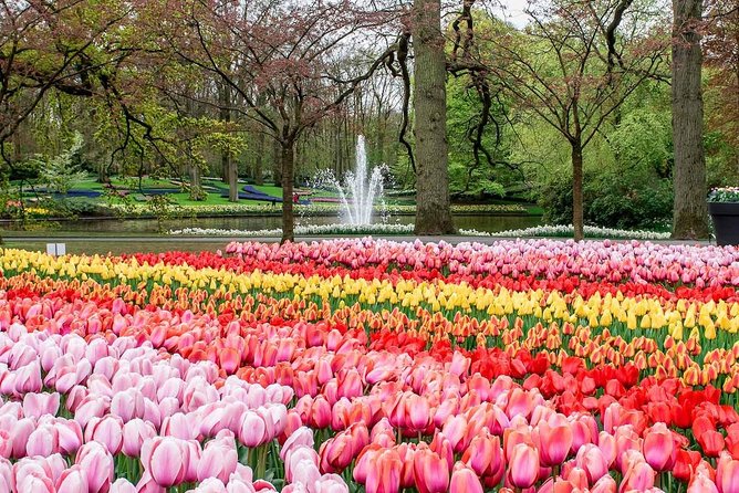 Private Keukenhof Park and Tulip Fields Tour (Skip-The-Line) - Pickup, Drop-Off, and How the Timing Usually Feels