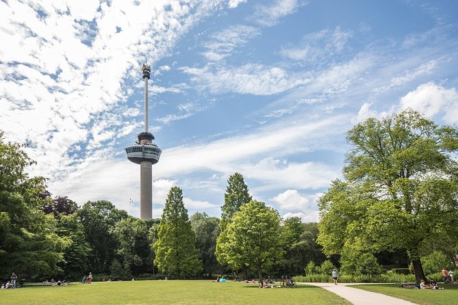 Private Tour: Rotterdam Walking Tour Including Harbor Cruise - The Walking Portion: 2.5 to 3 Hours That Adds Up