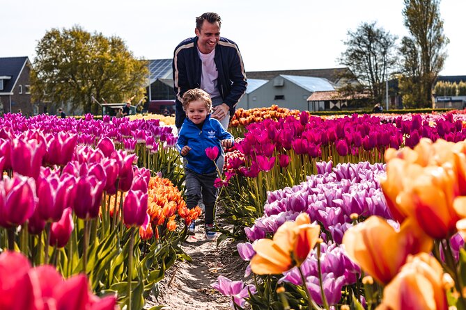 Private Tulip Fields, Windmills and Cheese Tour from Amsterdam - Price and value: is $518.06 per person fair?