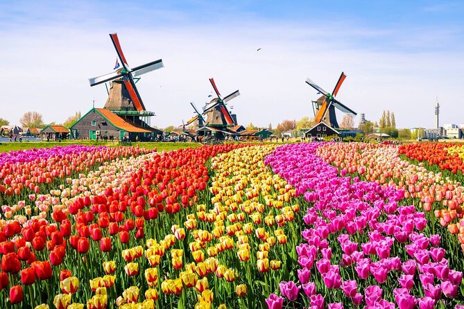 Private Zaanse Schans & Volendam Tour: Windmills, Cheese & Clogs - Who should book this tour, and who might prefer a different style