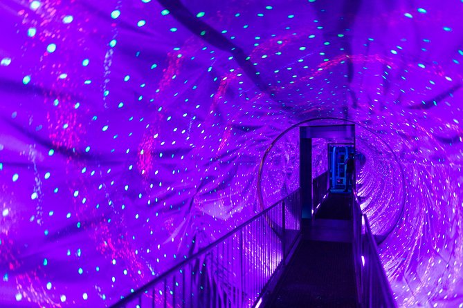 Ripley's Believe It or Not! Amsterdam Admission Ticket - Space Tunnel, optical illusions, and the interactive mind-game side