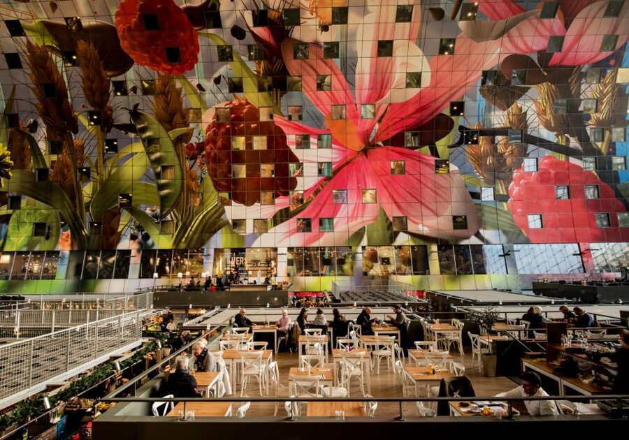 Rotterdam: 2-Hour Guided Walking Tour - Who This Tour Fits Best (and Who Might Want More Time)