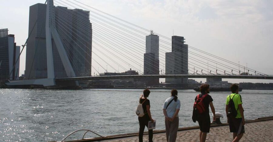 Rotterdam: Architectural Highlights Guided Walking Tour - Price, value, and who this Rotterdam tour fits best