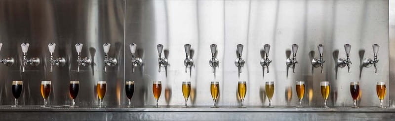 Rotterdam: Beer Brewery 'Noordt' Beer Tasting - Key Things I’d Pay Attention To