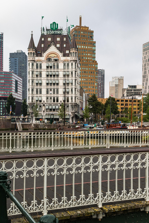 Rotterdam: City Center Walking Tour - Quick hits before you go