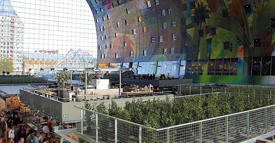 Rotterdam: City Center Walking Tour - Market Hall break, a smart pause with real local food energy