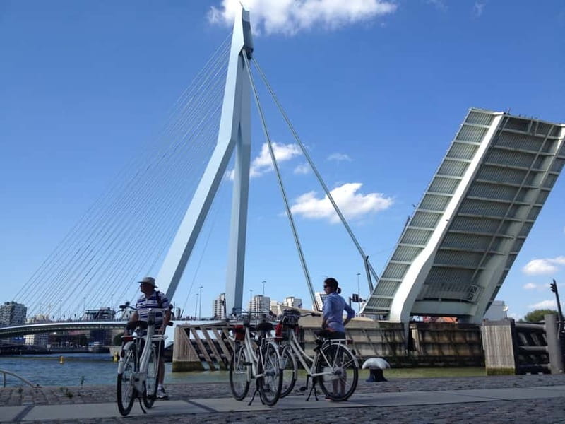 Rotterdam: City Highlights Guided Bike Tour - City hall and the official-center vibe, explained without the museum pace