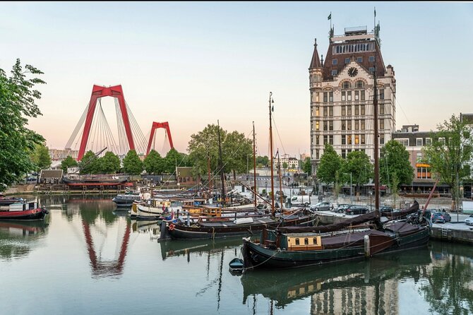 Rotterdam, Delft and The Hague Small Group Tour from Amsterdam - Rotterdam stop: Markthal, Blaaktoren, Cube Houses, and Nieuwe Maas bridges