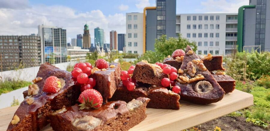 Rotterdam: Food Tour by Bike - Meeting Near Witte de Withstraat, Then Rolling Through the City