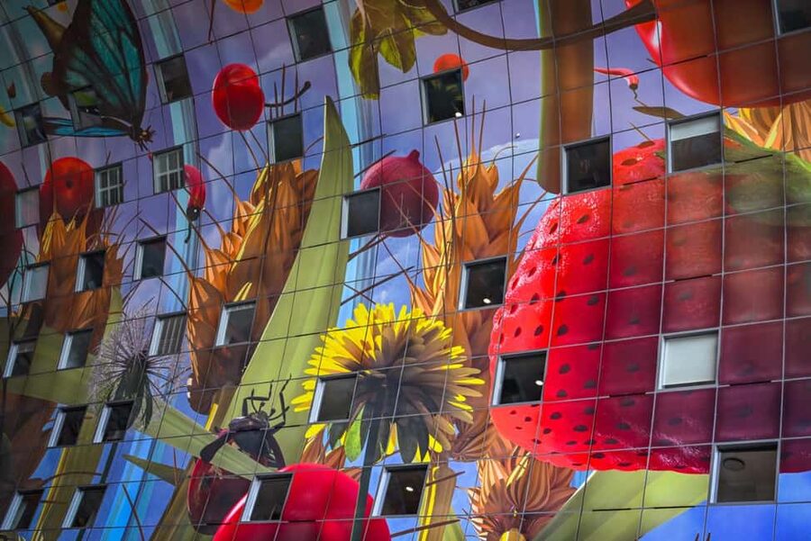 Rotterdam: Highlights, Gems, Architecture & History Walk - Accessibility and comfort notes you should take seriously