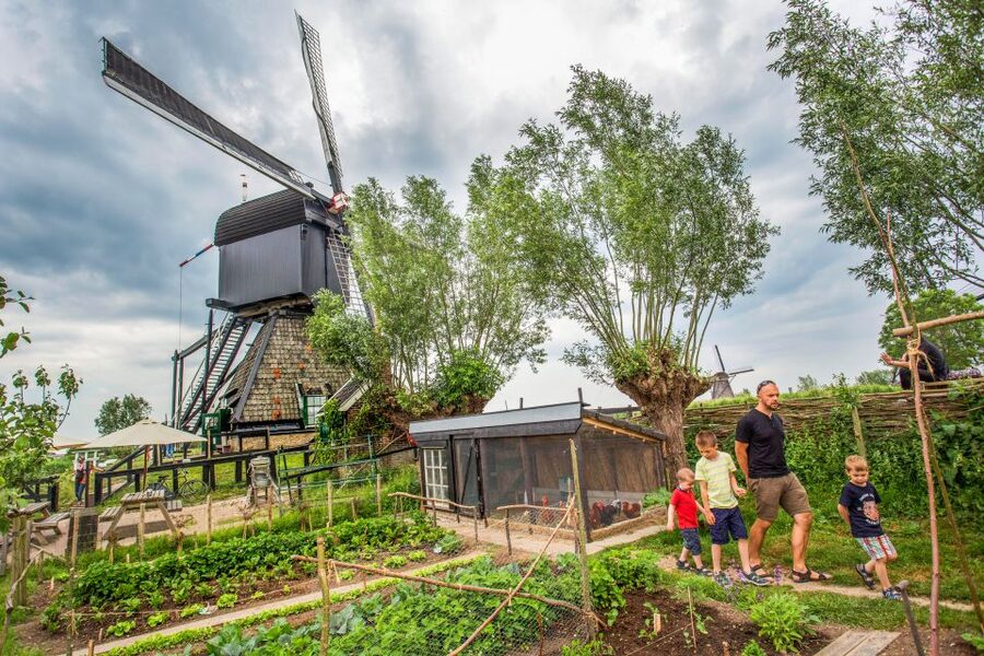 Rotterdam: Kinderdijk UNESCO World Heritage Entry Ticket - Key things to know before you go