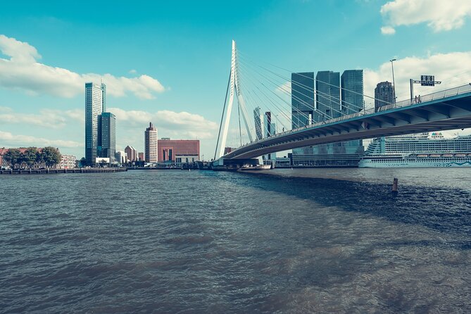Rotterdam Private Walking Tour with a Local - Price and value: $66.08 for a private, customizable walk