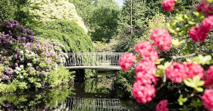 Rotterdam: Trompenburg Botanical Gardens Entry Ticket - Key highlights you’ll actually feel