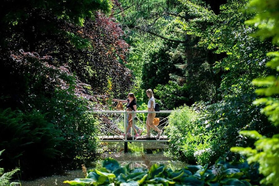Rotterdam: Trompenburg Botanical Gardens Entry Ticket - How to plan your visit when there’s no guide included