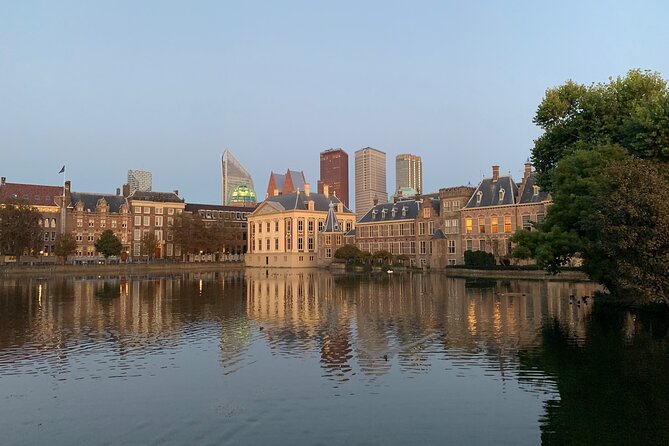 Royal The Hague Private Guided Walking Tour - Weather, Pacing, and One Real Caution