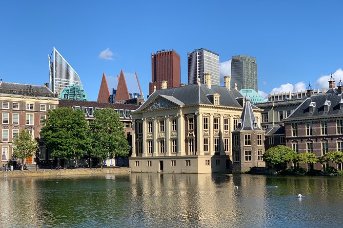 Royal The Hague Private Guided Walking Tour - Stop by Stop: Het Plein, Binnenhof, and the Ridderzaal