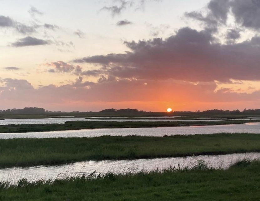 Small group full day island tour to Texel from Amsterdam - Ferry to Texel: a short crossing with big payoff